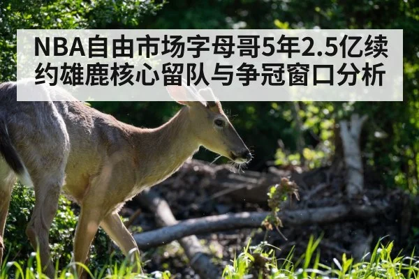 NBA自由市场字母哥5年2.5亿续约雄鹿核心留队与争冠窗口分析