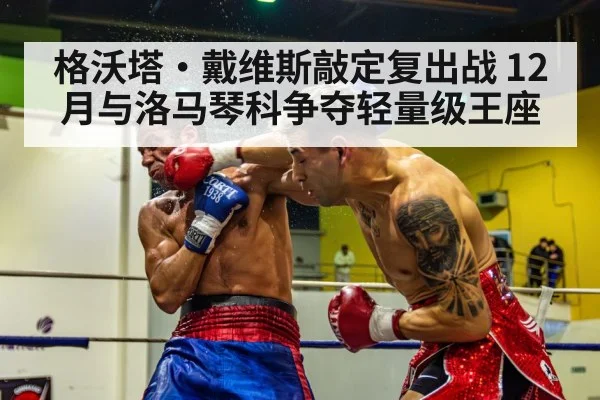 格沃塔·戴维斯敲定复出战 12月与洛马琴科争夺轻量级王座